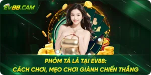 Phỏm tá lả tại EV88: Cách chơi, mẹo chơi giành chiến thắng